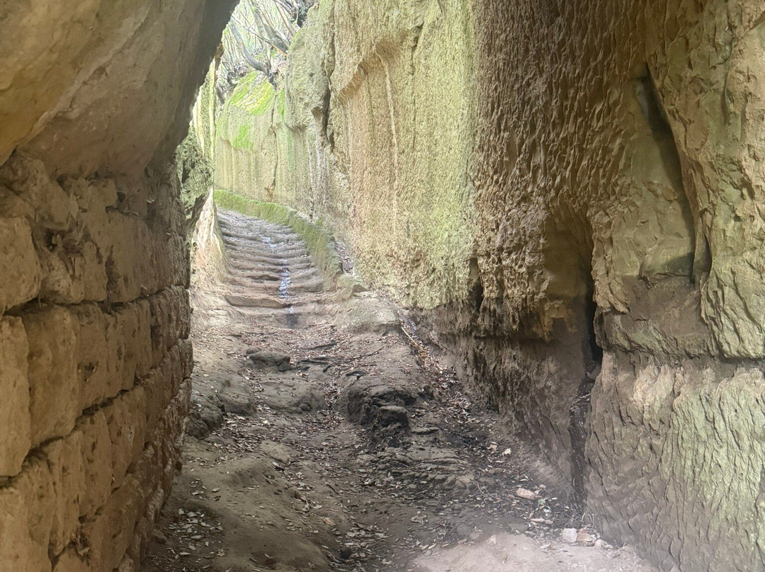 Girosole Italy Walking Tours-Abbadia San Salvatore必去景点
