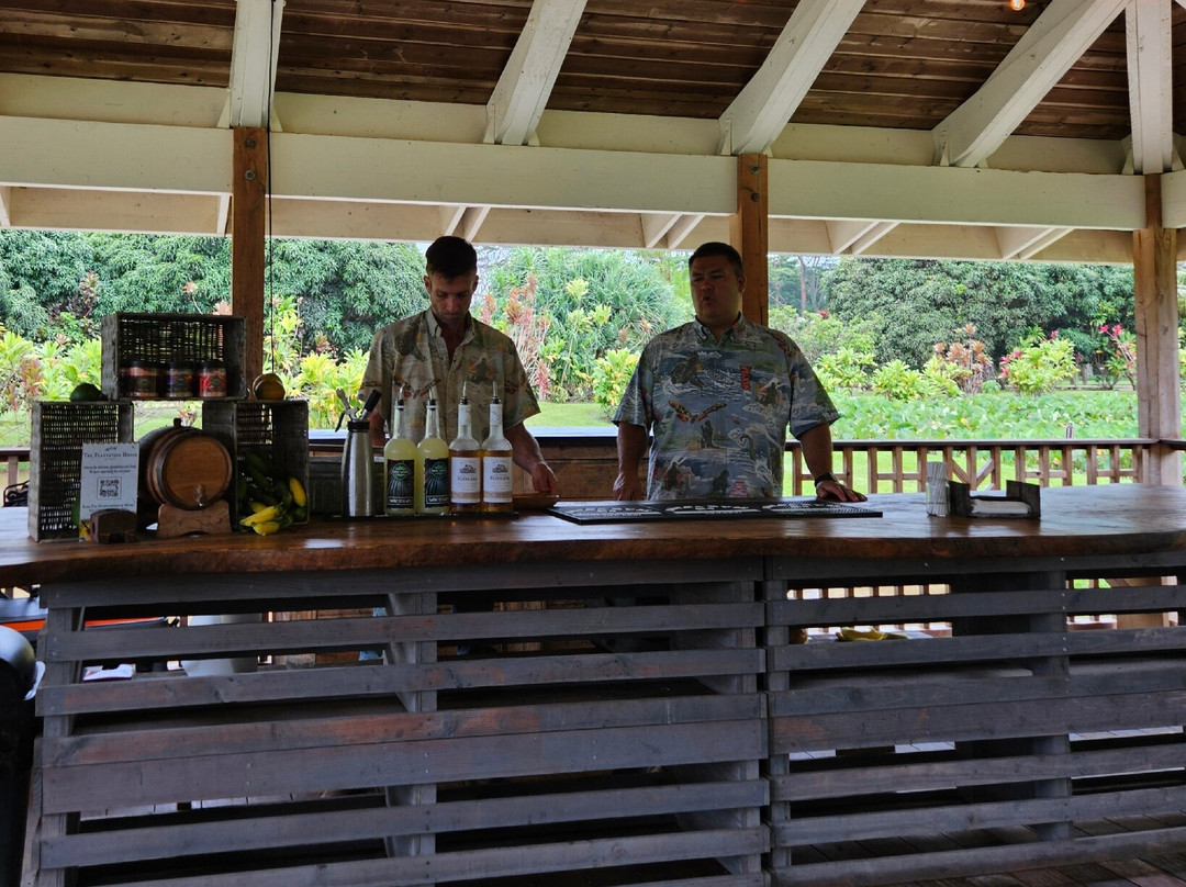 Kauai Safaris-利胡埃必去景点