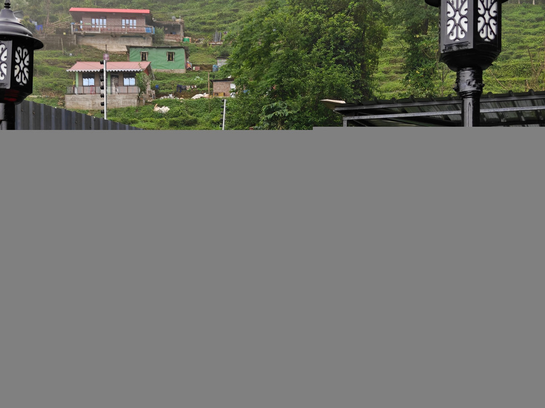 Summit Bougainvillea Tea Resort主图