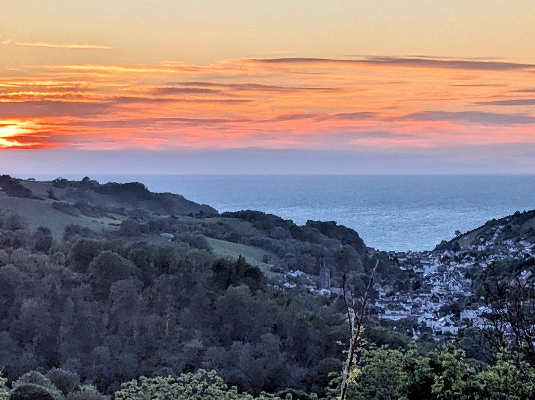 Combe Martin Wildlife And Dinosaur Park-伊尔弗勒科姆必去景点