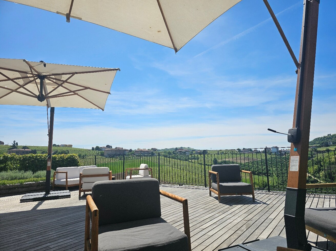 Radici - Ristorante in Vigna