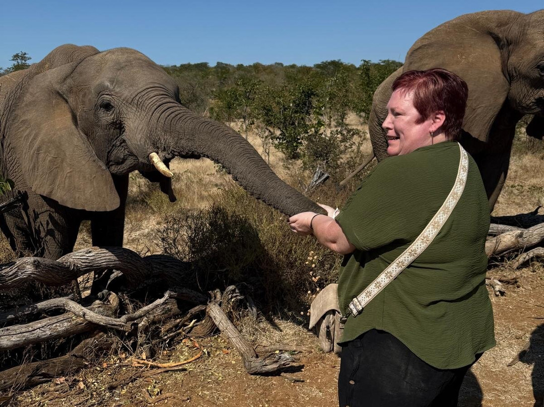 Wild Horizons Elephant Sanctuary-维多利亚瀑布必去景点