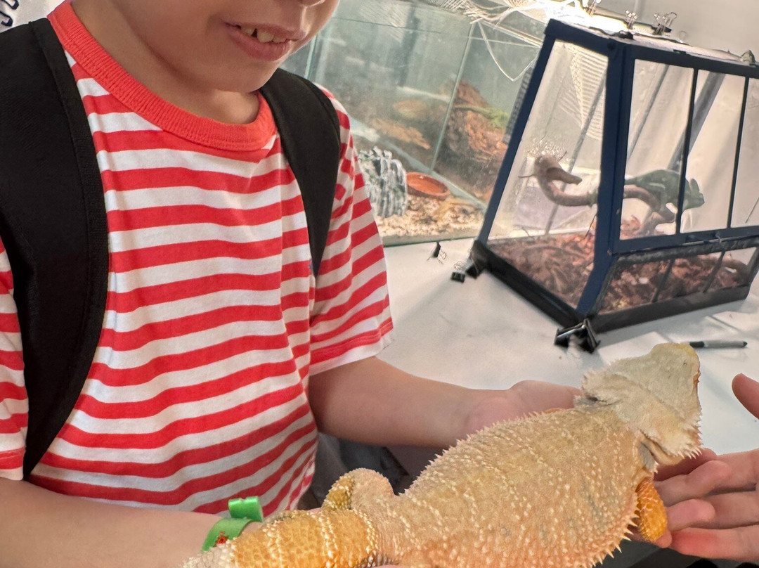 Butterfly House Varna-瓦尔纳必去景点