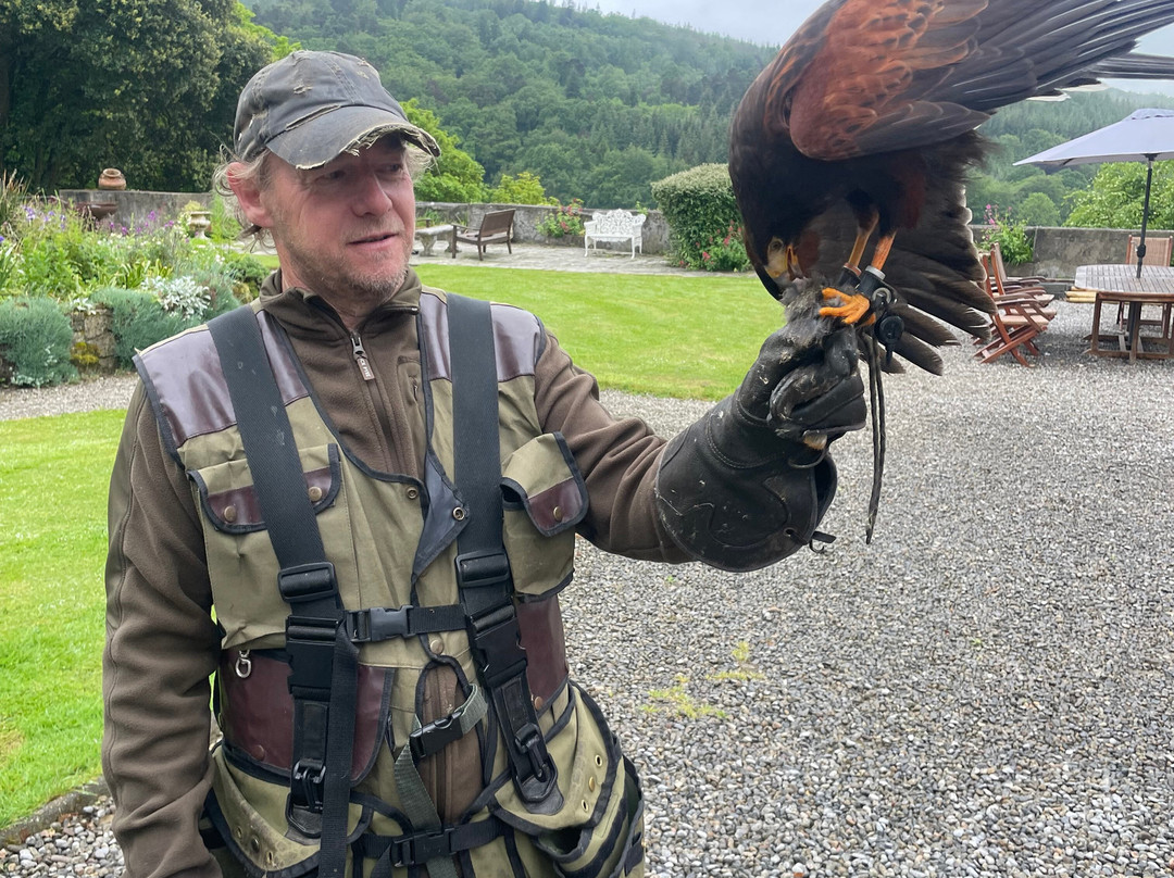 Mayfield Birds of Prey-Kilmacthomas必去景点