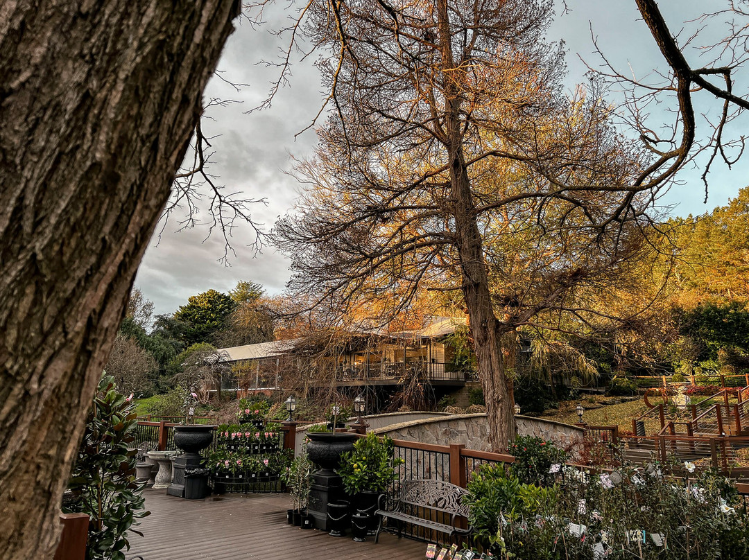 Warran Glen-Warrandyte必去景点