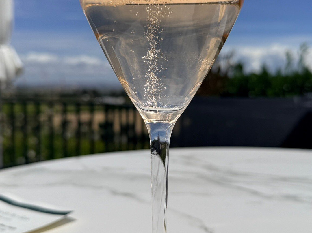 Gloria Ferrer Caves & Vineyards-索诺玛必去景点