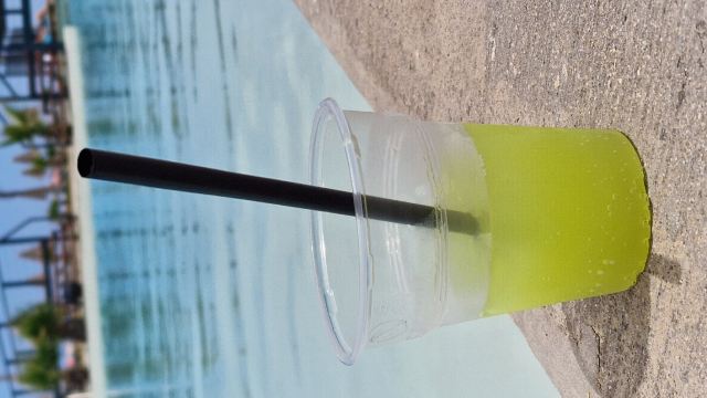 加利尼宫殿度假酒店-旅行者