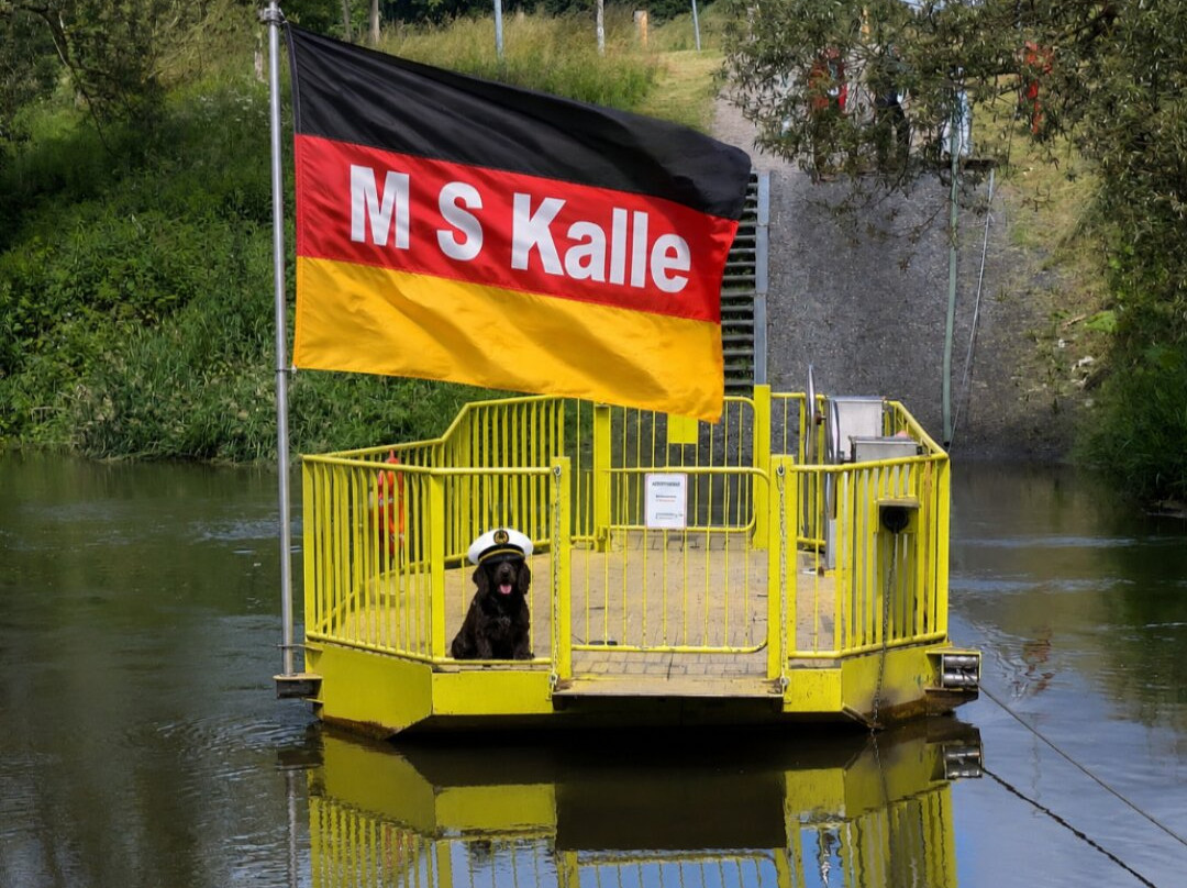Lippefahre Maifisch-Haltern am See必去景点