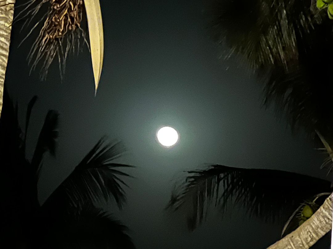 Anantara Spa at Al Baleed Resort Salalah-塞拉莱必去景点