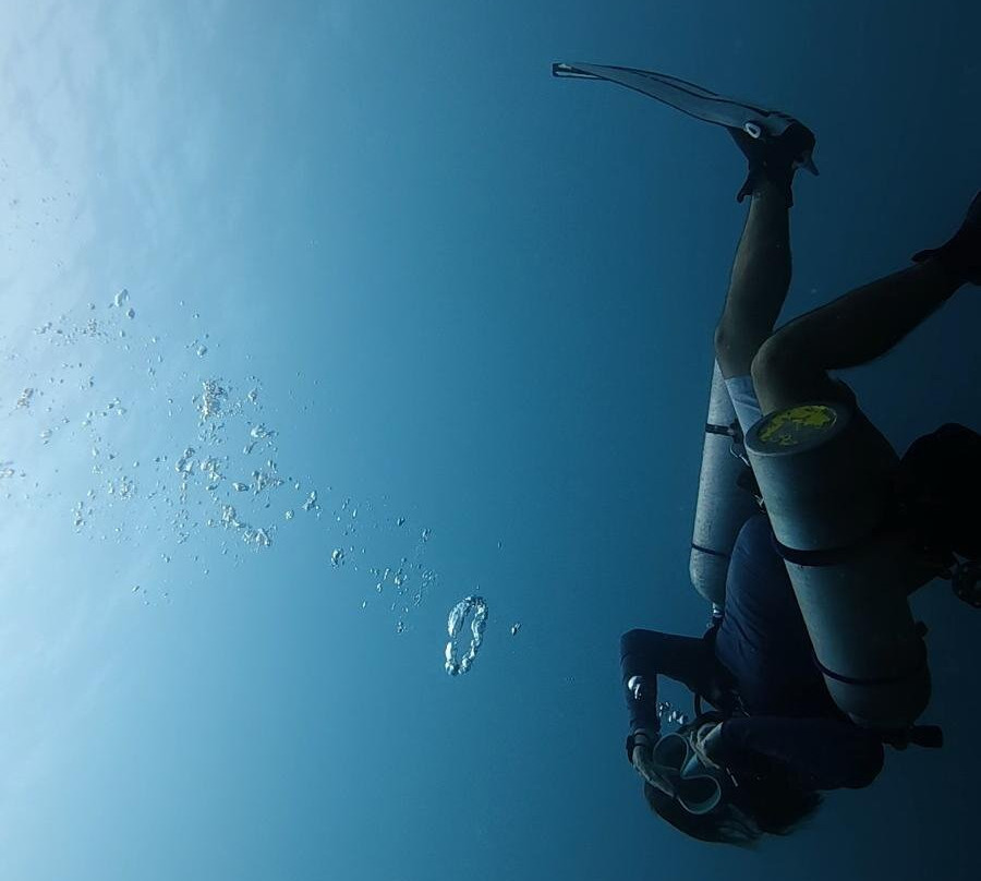 Anti Gravity Divers-小停泊岛必去景点