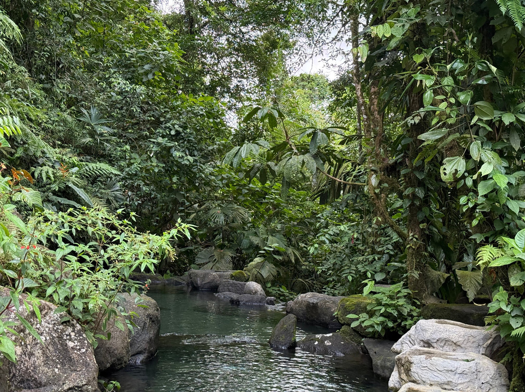 Kurú Natural Springs-福德圣卡洛斯必去景点