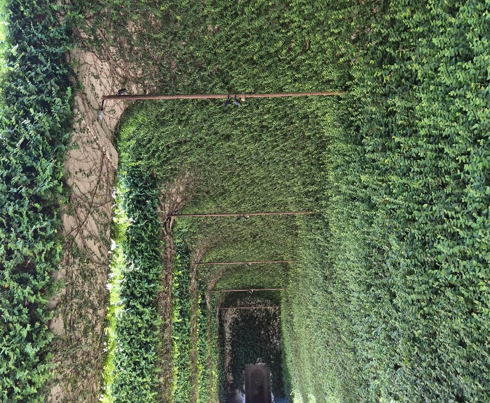 Parco del Castello Ducale di Agliè-Aglie必去景点