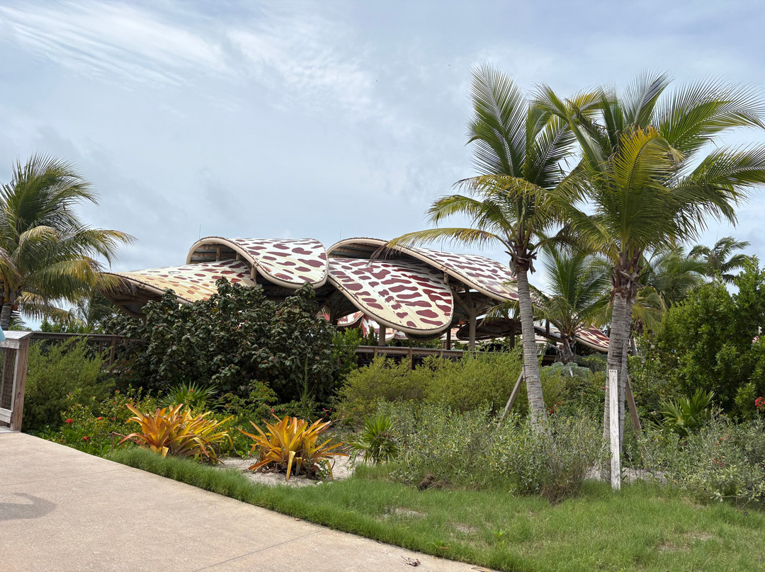 Disney Lookout Cay at Lighthouse Point-伊柳塞拉必去景点