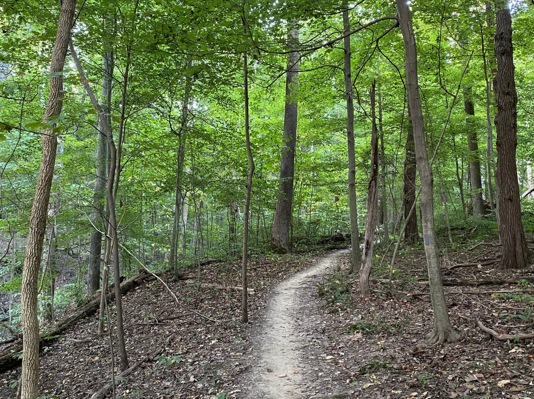 East Fork State Park-Bethel必去景点