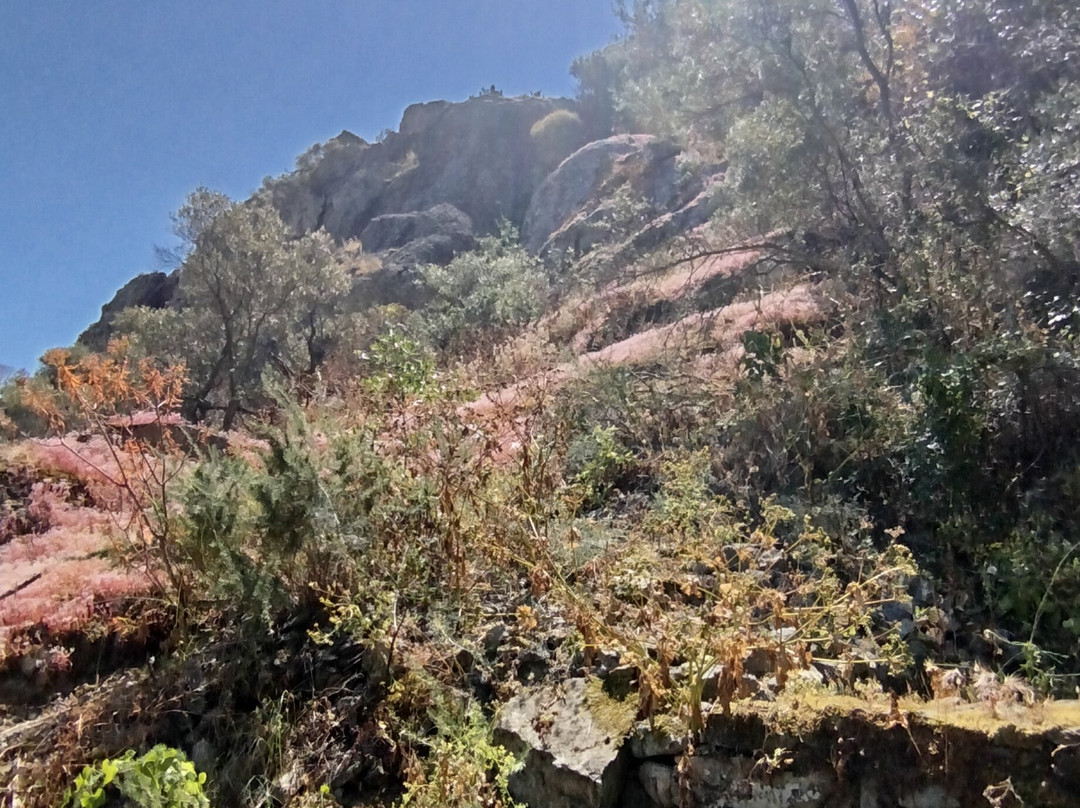 Castello di Acquafredda-Siliqua必去景点