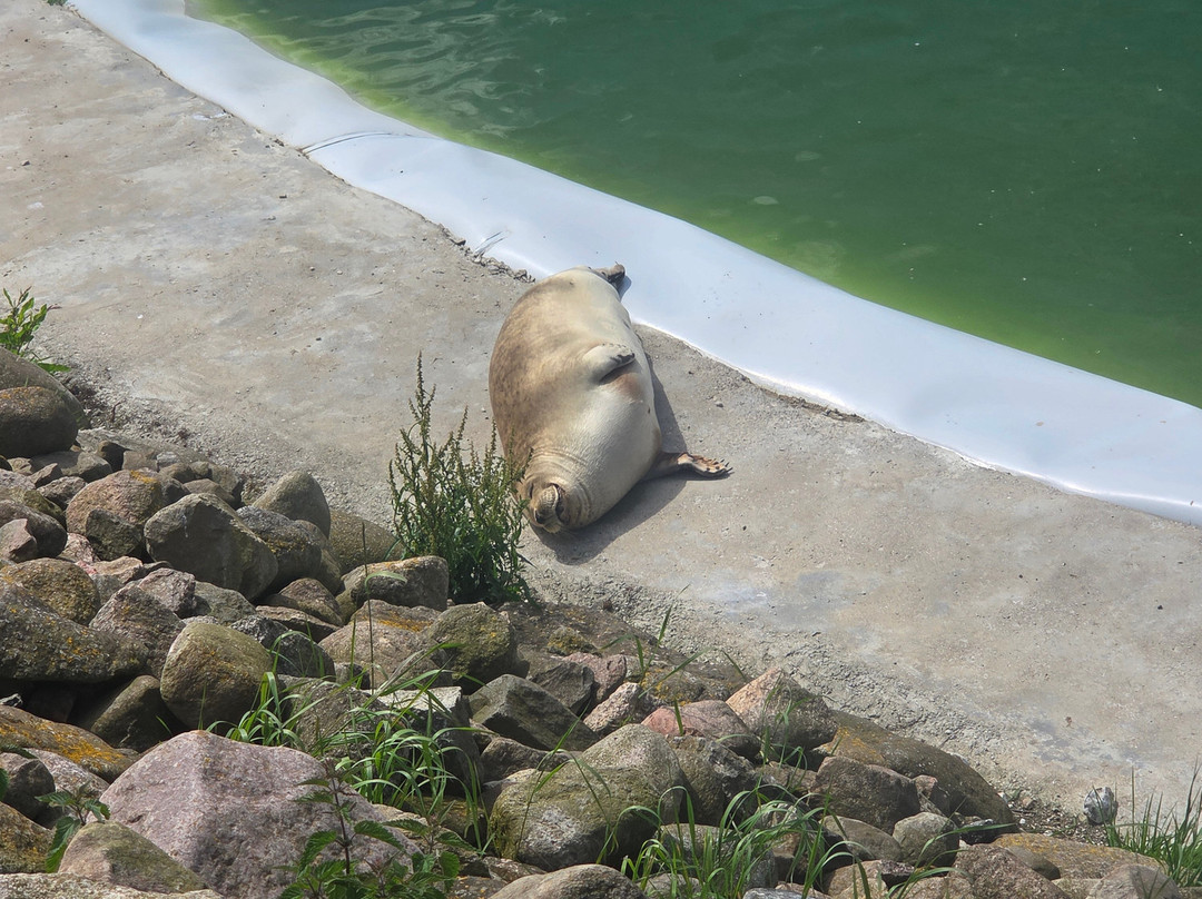 Derr Zoo-Park Arche Noah in Gromitz/Ostsee-Gromitz必去景点