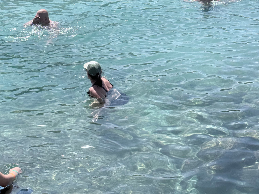 HF Tours & Transfers Aruba-奥腊涅斯塔德必去景点
