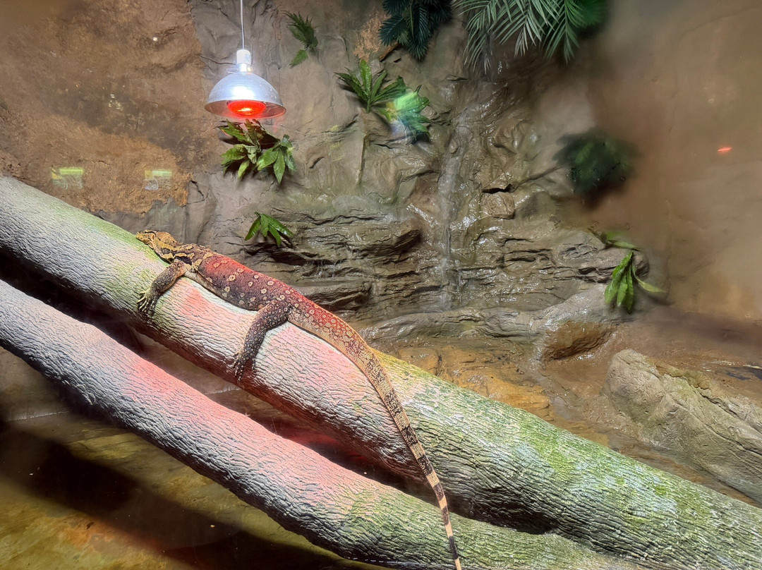 Daytona Aquarium & Rainforest Adventure-代托纳比奇必去景点