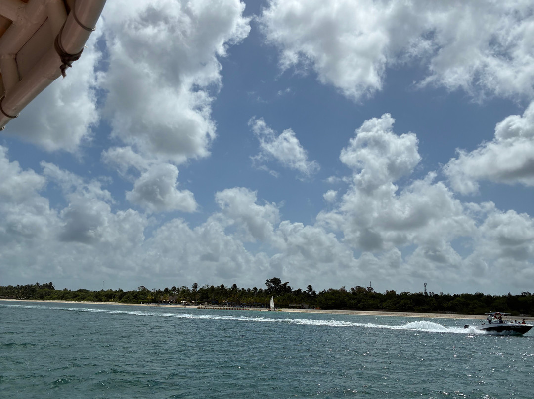 Cozumel Cruise Excursions - Private Tours-考祖梅必去景点
