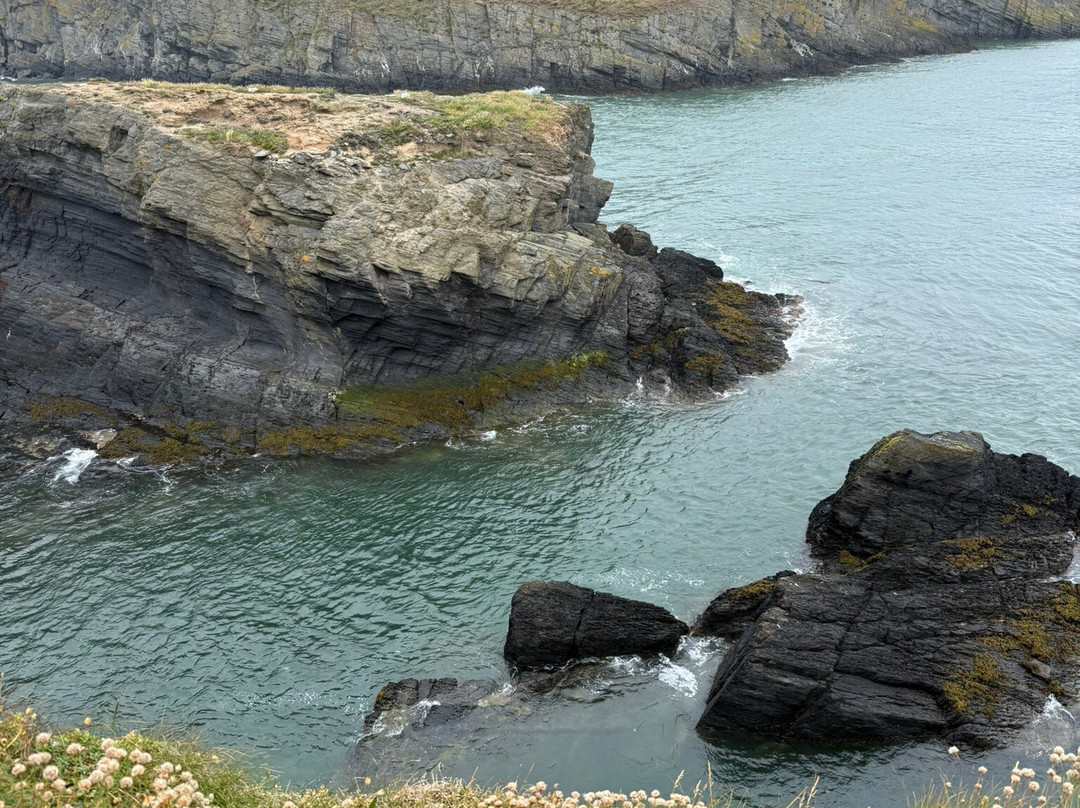 Cardigan Island Coastal Farm Park-Cardigan必去景点