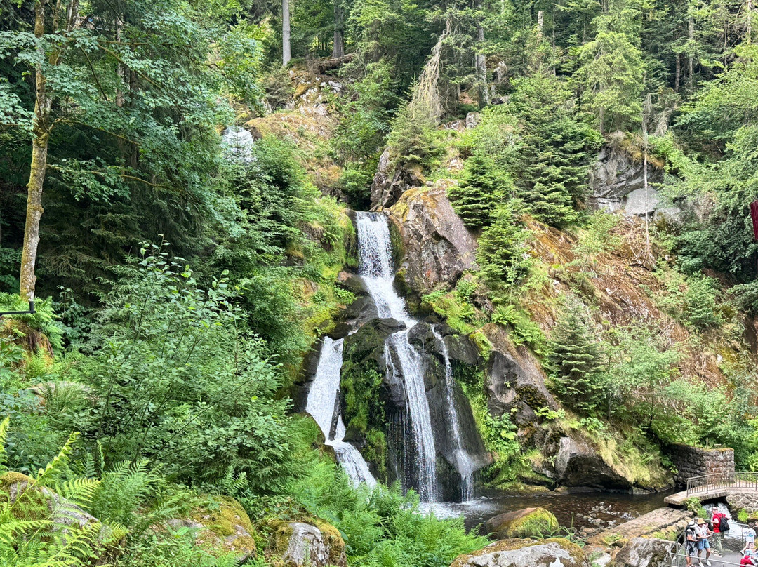 Triberger Waterfall-特里贝格必去景点