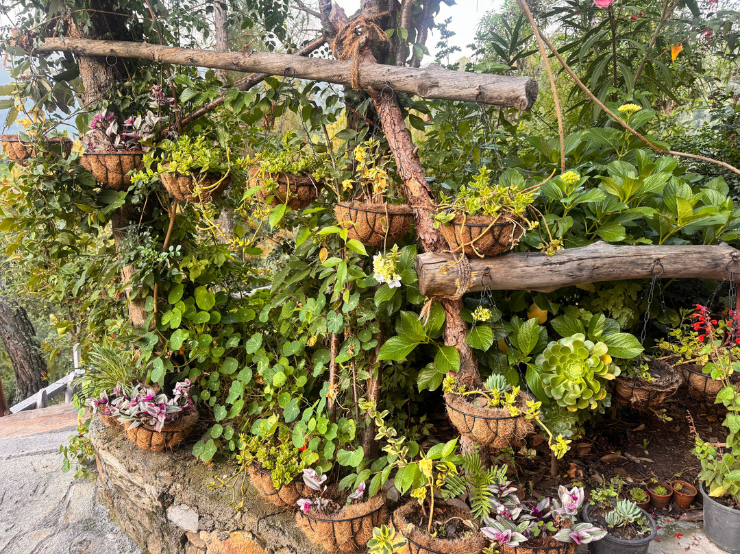 The Slow Living Farm-Simyal Gaon必去景点