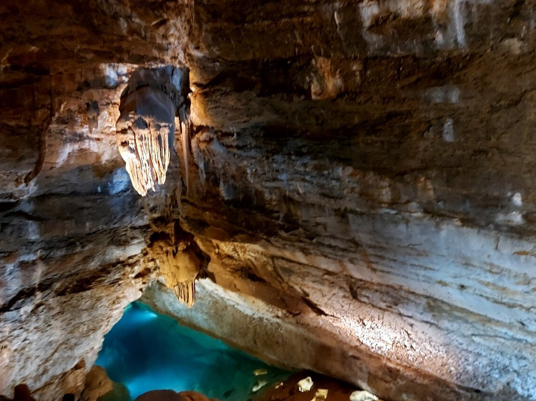 Grotte de Trabuc-Mialet必去景点