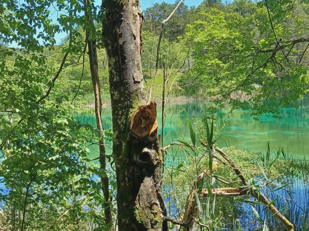 Kozjak Lake-十六湖国家公园必去景点