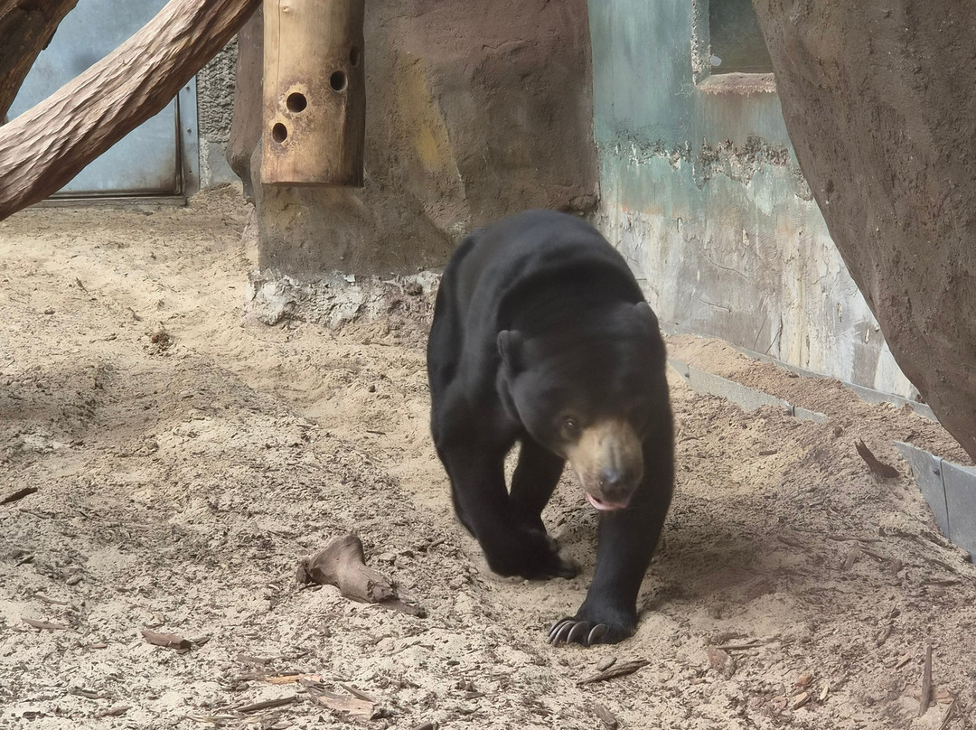 Orientarium Zoo Lodz-罗兹必去景点