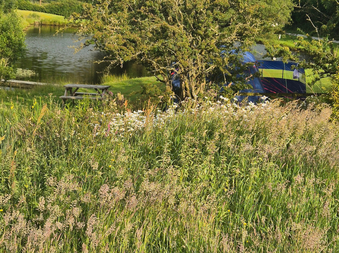 Llandegla Fishery-Llandegla必去景点
