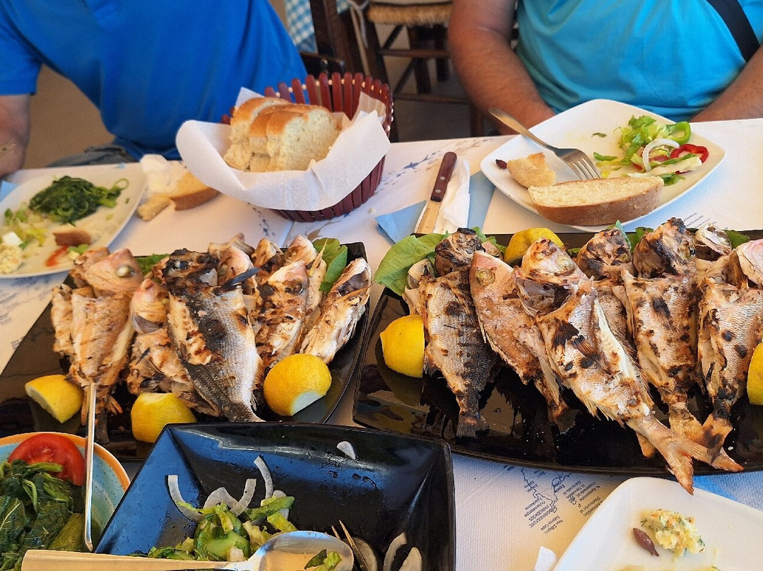 Fishing trips Manthos Agia Galini-Agia Galini必去景点