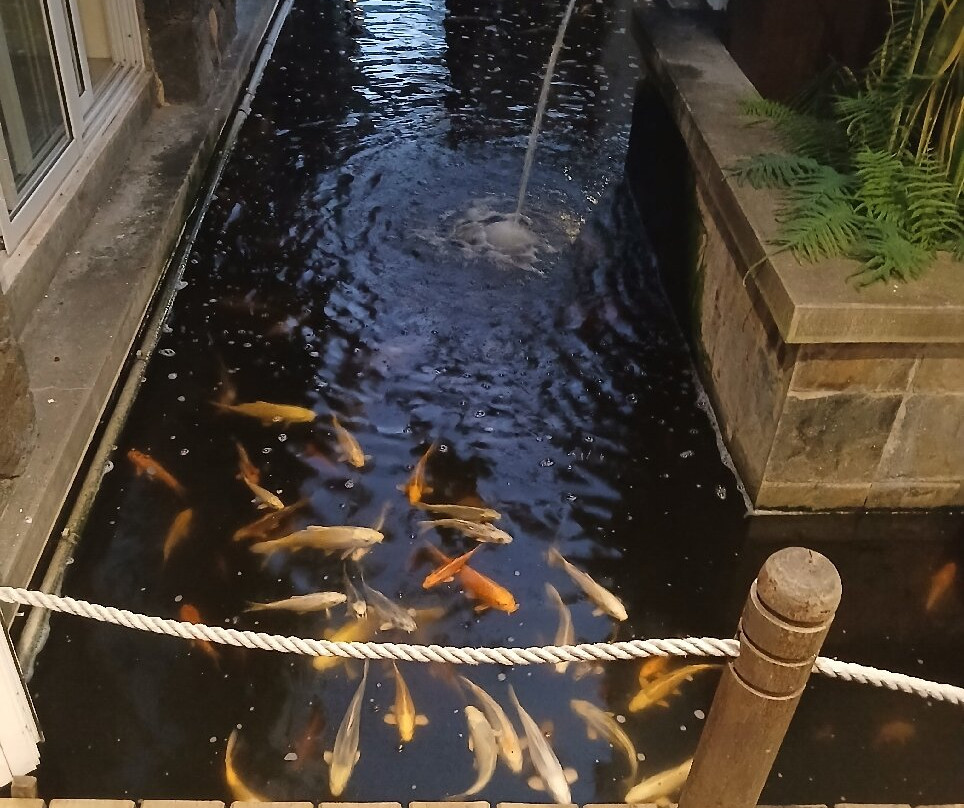 毛里求斯拉古纳海滩酒店及水疗中心主图