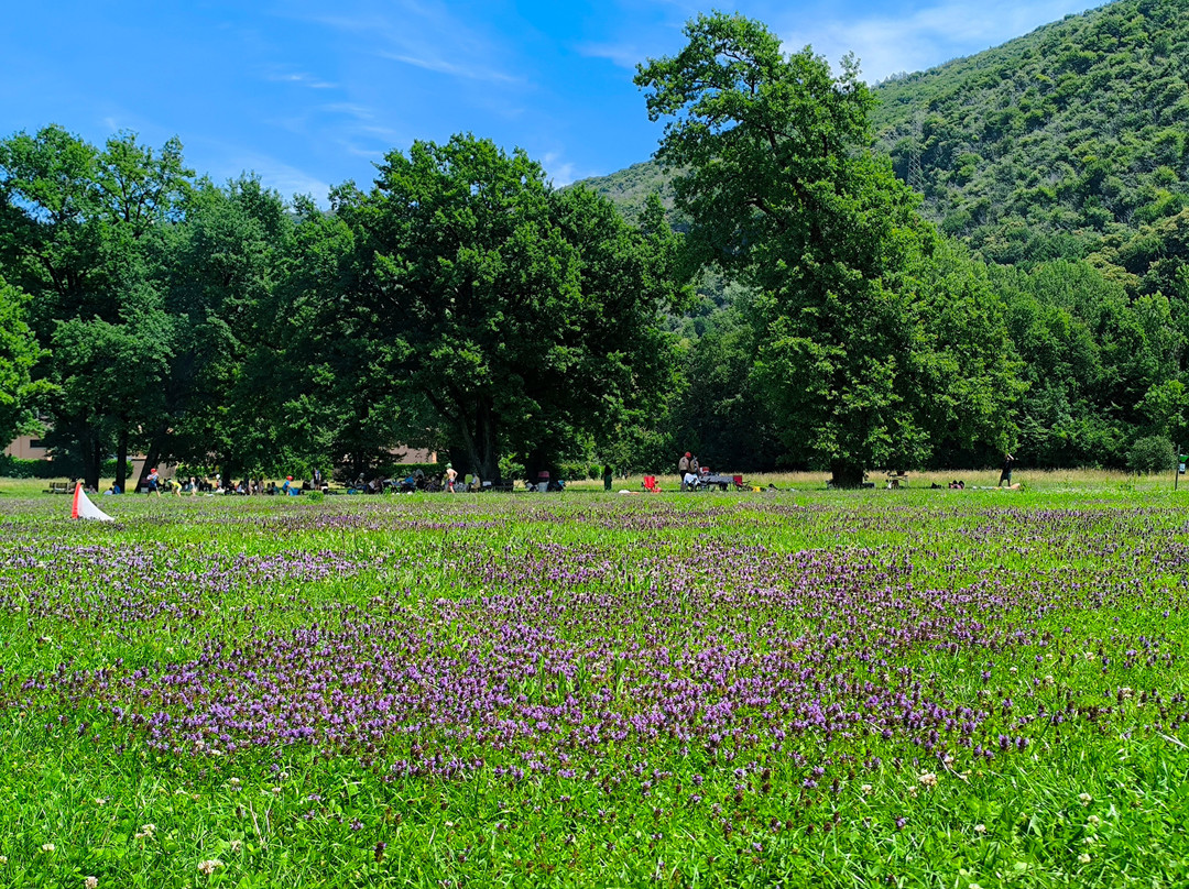 Parco Figino