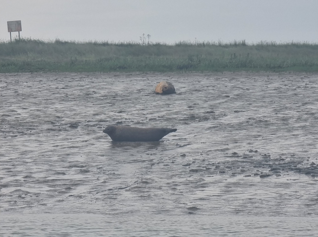 Discovery Seal Trips-Rochford必去景点