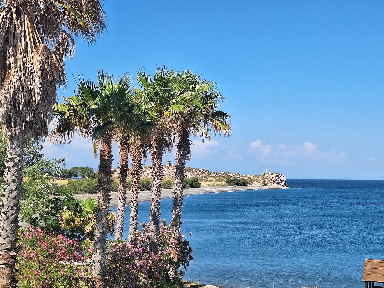 迪米特拉海滩套房酒店-旅行者