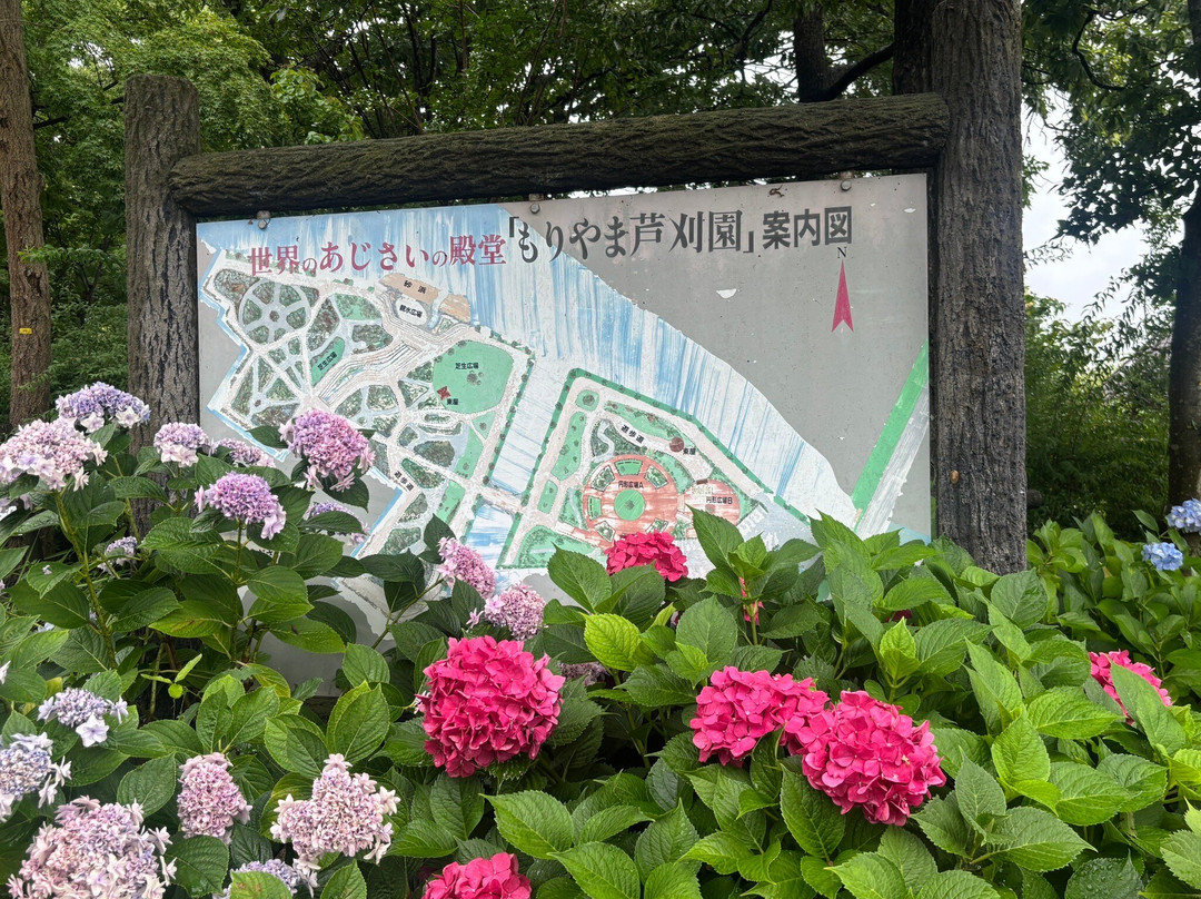 Moriyama Ashikarien Garden-守山市必去景点