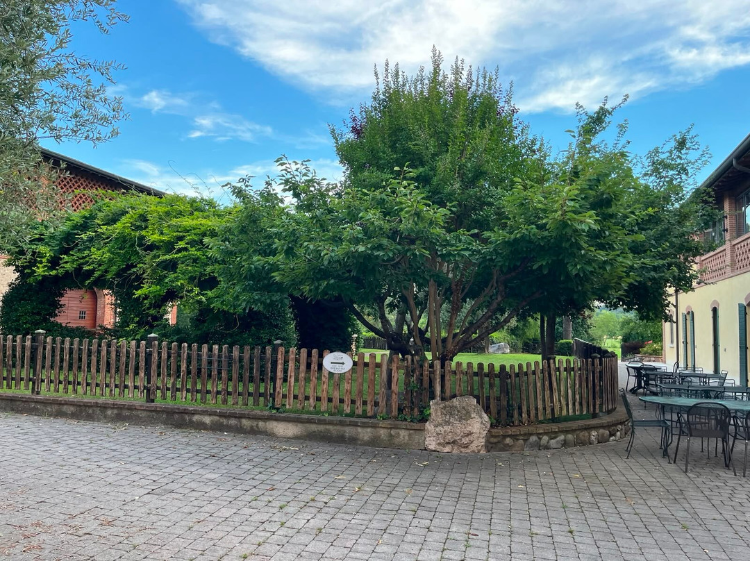 Agriturismo Corte Salandini