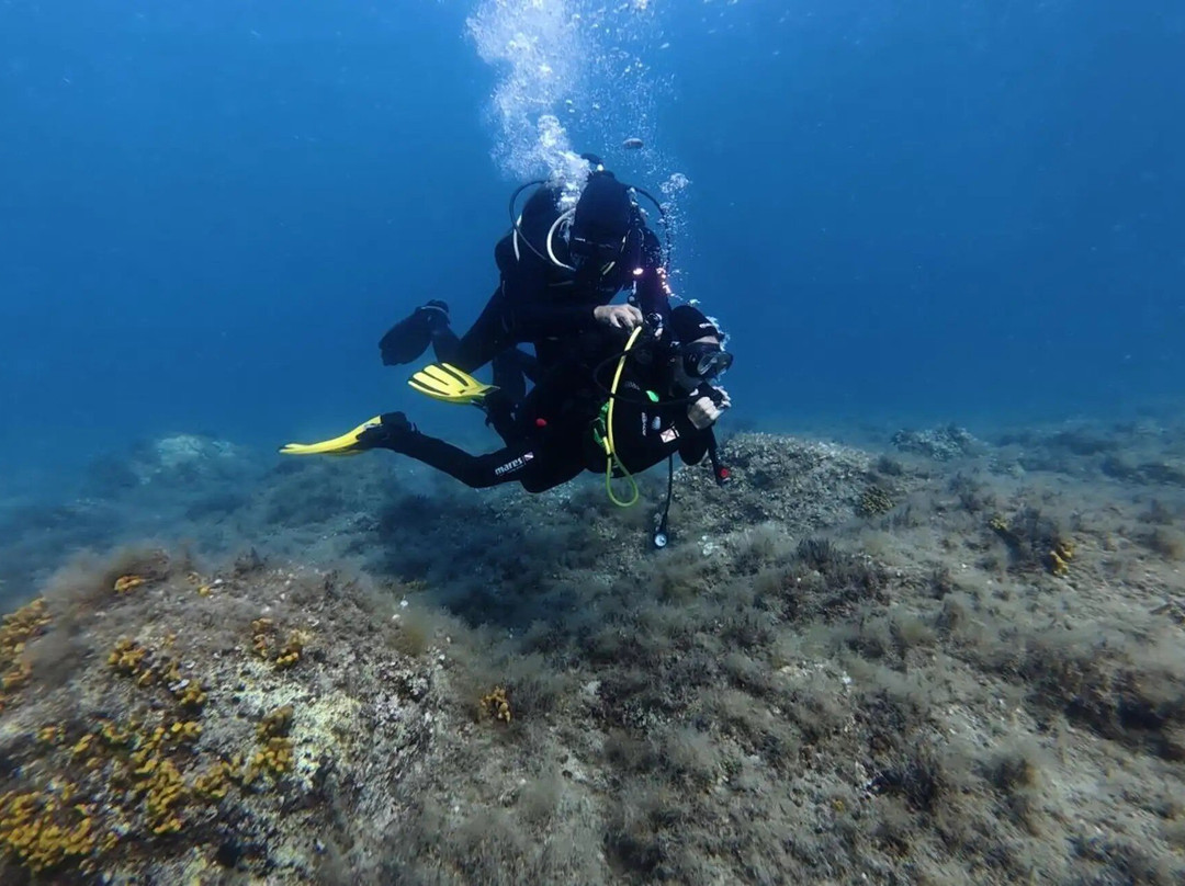 Connex Diving-Stara Novalja必去景点