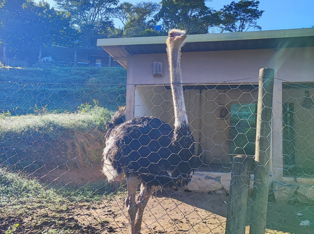 Hotel Fazenda Terra Dos Sonhos主图