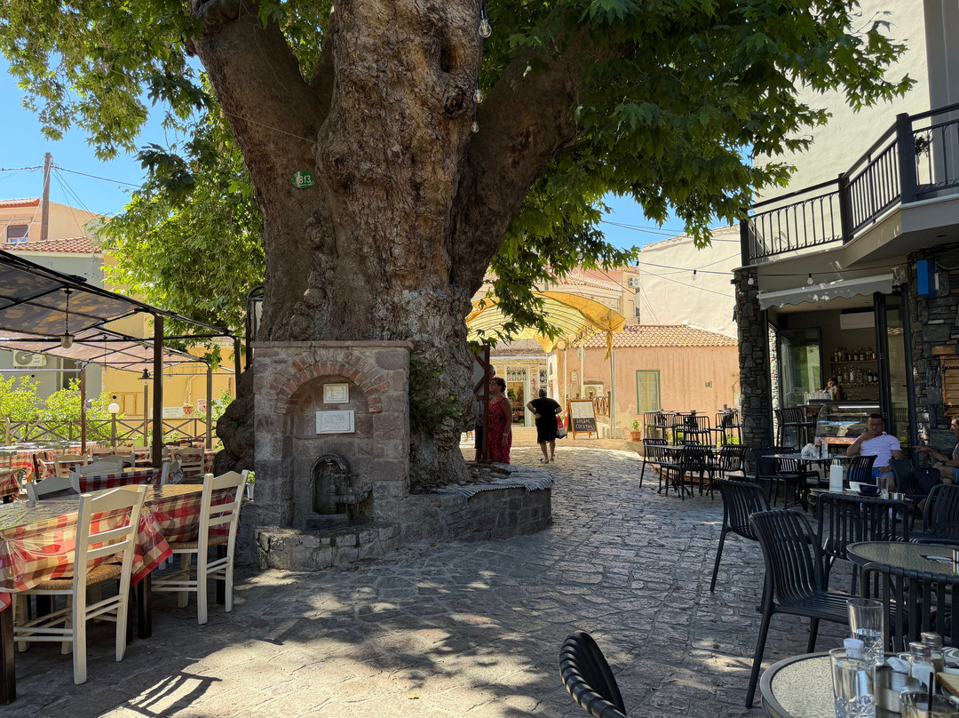 Serafino cafe bar