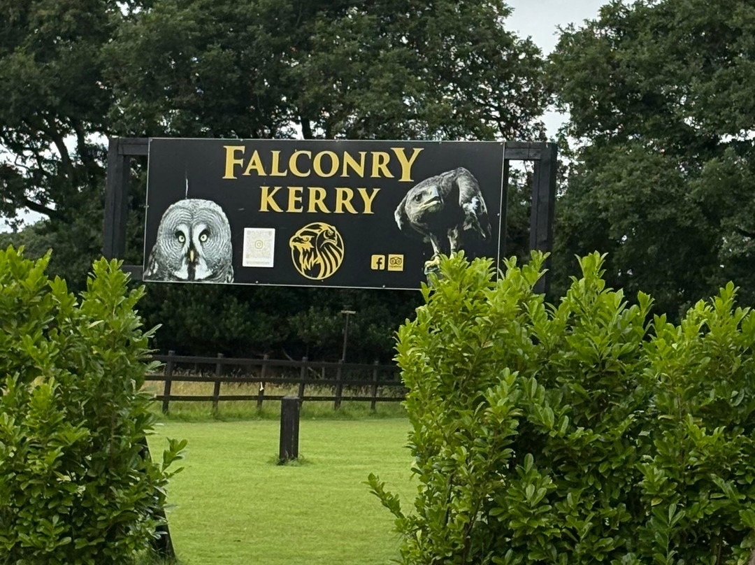 Falconry Kerry-基拉尼必去景点