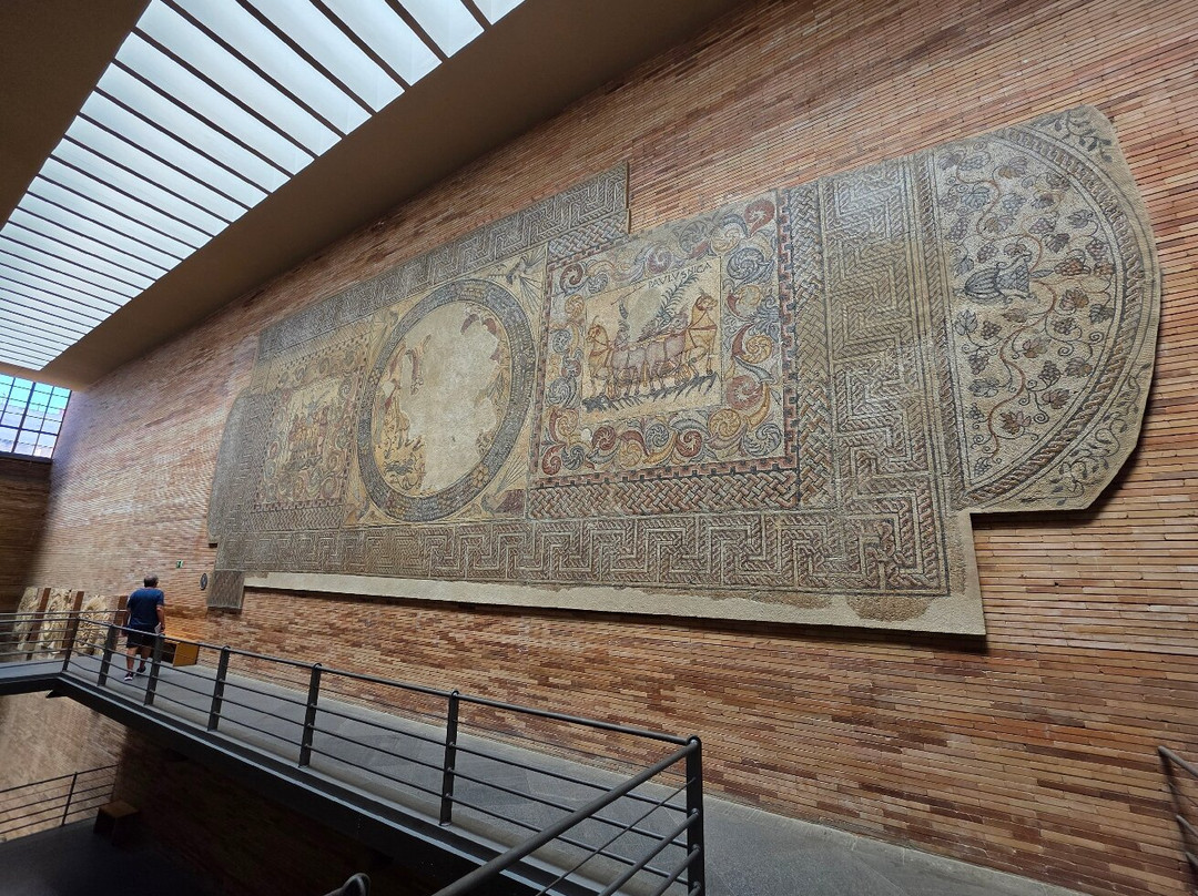 Museo Nacional de Arte Romano-梅里达必去景点