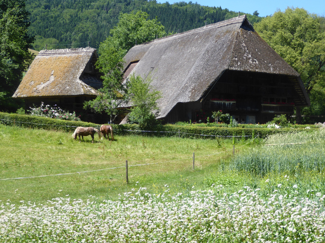 Schwarzwälder Freilichtmuseum Vogtsbauernhof-Gutach im Schwarzwald必去景点