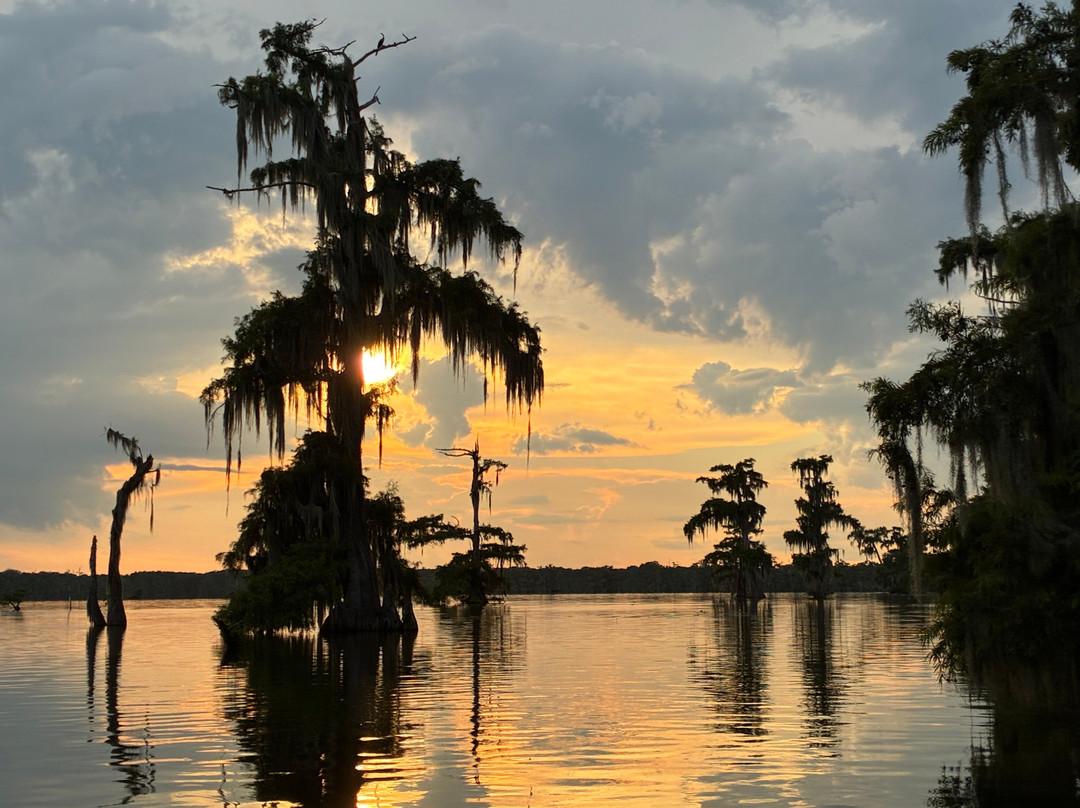 Louisiana Swamp Tours-布里奥克斯桥必去景点