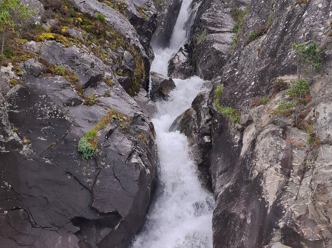 Hardanger Fjordsafari-Eidfjord必去景点