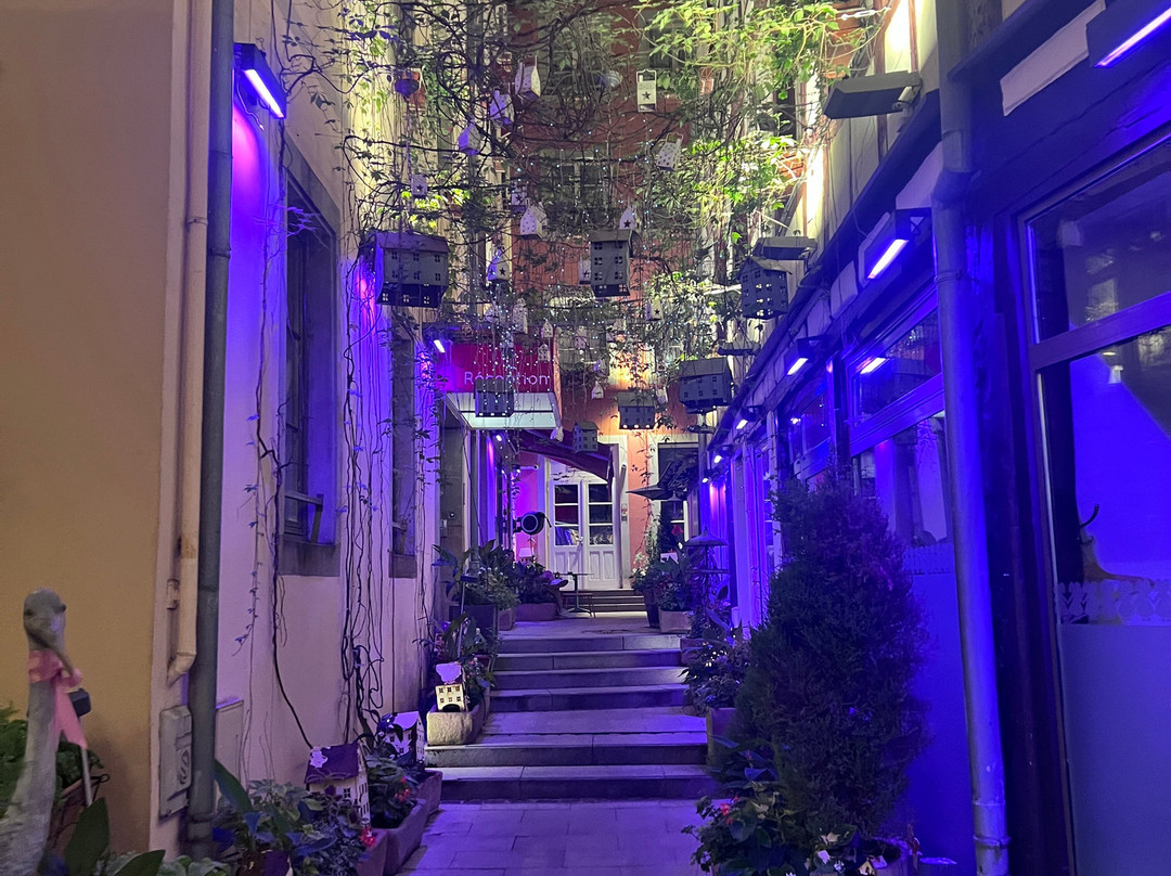 宝库尔酒店主图