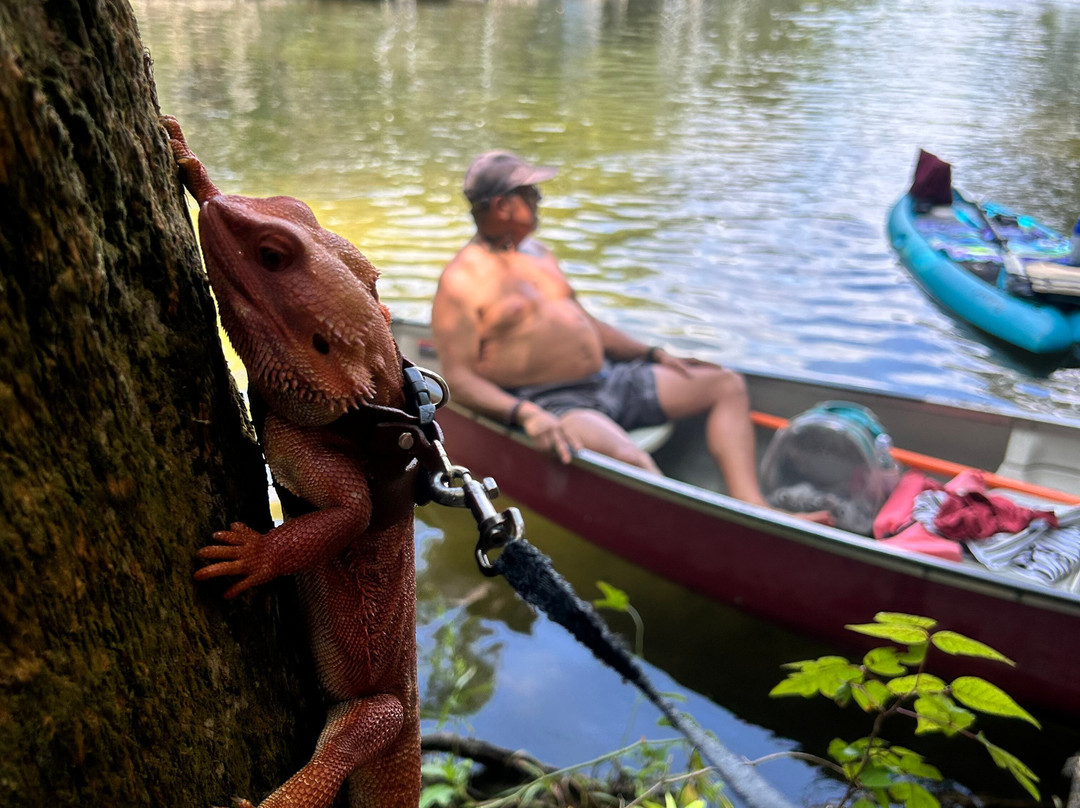 Weeki Wachee Marina-Weeki Wachee必去景点