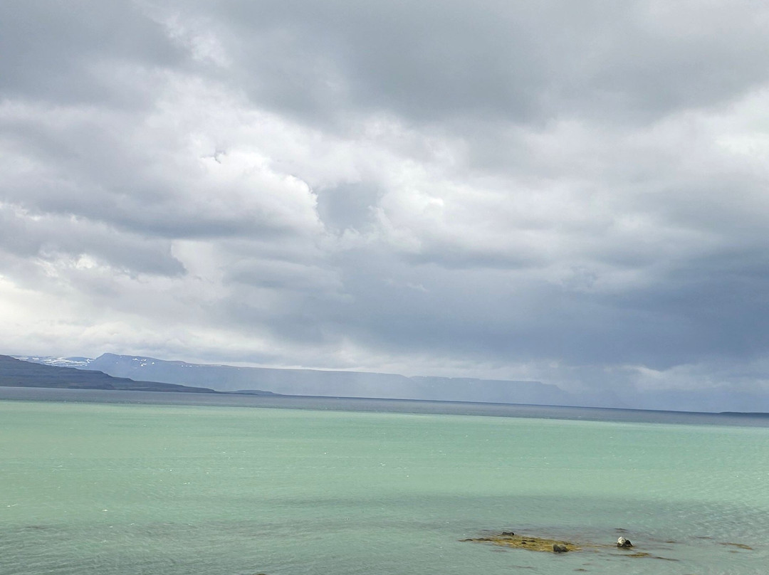 Activity Iceland-雷克雅未克必去景点