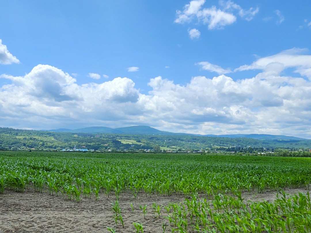 Ferme L'Oiseau Bleu-Baie-St-Paul必去景点