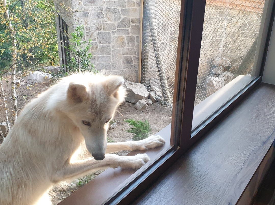 Les Loups du Gevaudan-Saint-Leger-de-Peyre必去景点